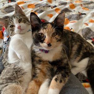 Meet your Posher, Alanna